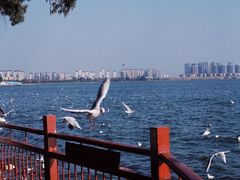 -滇池海埂公园