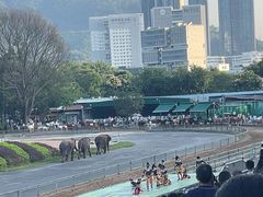 -深圳野生动物园