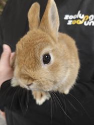 -Zoolung Zoolung动物主题公园(海信广场店)