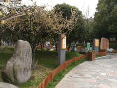 -双拥公园