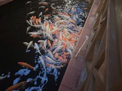 -侠成水上农庄(工业大道店)