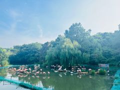 -宁波野生动物园