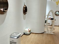 -1013 PET SHOP精品宠物商店(丁香店)