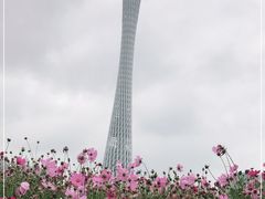 -海心沙亚运公园
