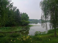 -东郊湿地公园