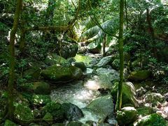 -七仙岭温泉国家森林公园