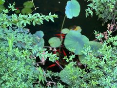 -怡园·园林私房菜