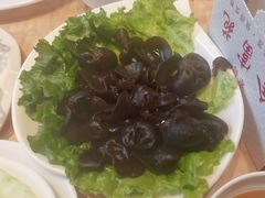 -清真军邺·金富苑肥牛(石坡街旗舰店)