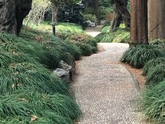 -叶家花园