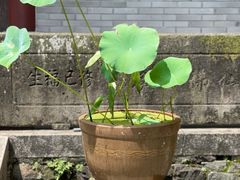 -韬光茶庵