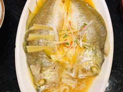-豆花酒楼·三十八年匠心(秦皇东大街店)