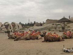 -镇北堡西部影城