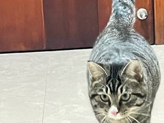 -保利万和CFR国际影城(钱江世纪城店)