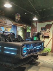 -卡通尼·Safari非洲探索乐园·生日会(金桥国际商业广场店)