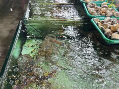 -班赞海鲜市场