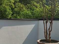 -青桃餐厅