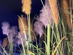-味界·精致赣菜(招商花园城店)