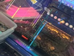 -天天玩X秋葉原日系动漫游戏中心