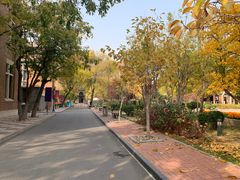 -天津外国语大学（马场道校区）食堂