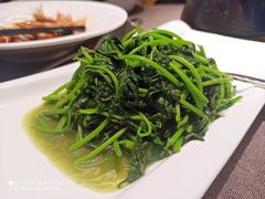 清炒地瓜叶-巨鹿春晓(静安寺店)