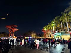 -欢乐海岸椰林沙滩-2025湾区超级灯会