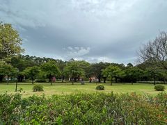 -南沙蒲洲花园