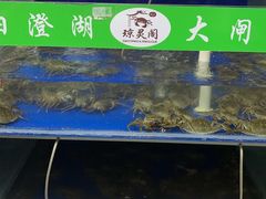 -阳澄湖大闸蟹·琼灵阁牌品牌连锁(吴中总店)