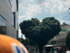 -珠江夜游西堤码头