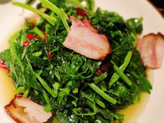 -蓉城小馆(科兴店)