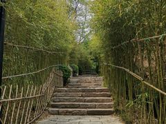 -竹子庵公园