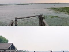 -丫丫蟹庄·苏式园林农家乐·阳澄湖大闸蟹(阳澄湖莲花岛店)