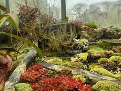 -国家植物园南园