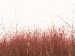 -郑东新区龙湖公共艺术中心
