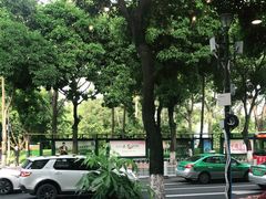 -手功王养生·足疗按摩·SPA·采耳(天府路店)