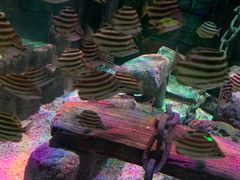 -沈阳海洋探索中心