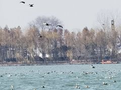 -溱湖国家湿地公园