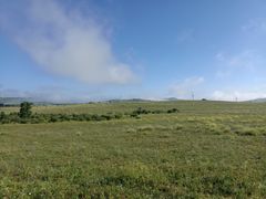 -塞罕坝国家级自然保护区