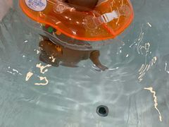 -马博士婴幼儿游泳馆(门头沟店)