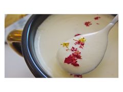 -阿狗圆子