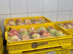 -老袁家蜜桃农场·阳山水蜜桃