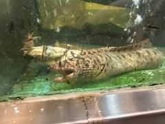 -乐在集市海鲜大排档(平潭店)