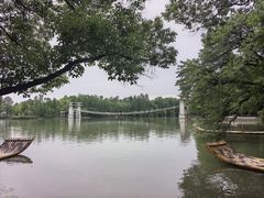 -东湖落雁景区