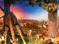 -国家自然博物馆