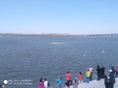 -人民防洪胜利纪念塔