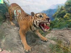 -国家自然博物馆