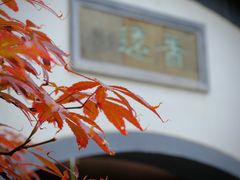 -莫愁湖公园