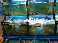-老东镇啤酒屋海鲜加工·蒸汽海鲜·海鲜烧烤(台东店)