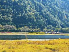 -腾冲北海湿地