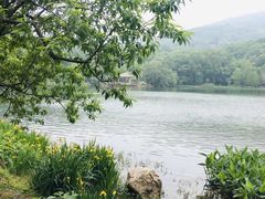 -紫霞湖公园