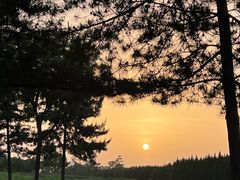 -汉长安城未央宫国家考古遗址公园